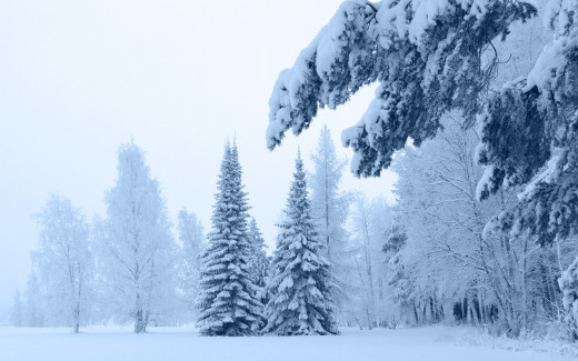 589769 (a): :1920x1200